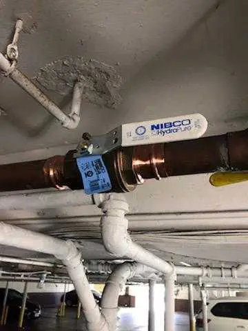Copper pipe repair and valve work for Water Line Repair in Tortiose